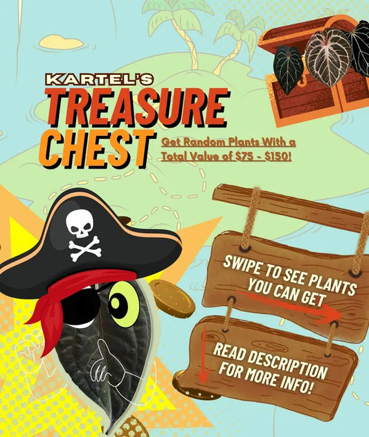 Kartel Treasure Chest