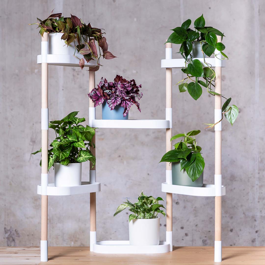 6-tray plant shelves