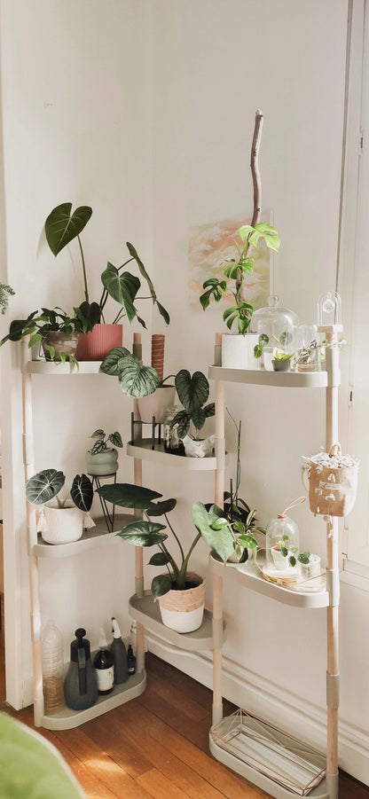 4-tray plant shelves