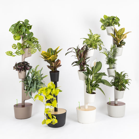 Vertikale Plantepotter - 4 plantepotter (↥ 148 cm)