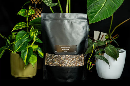 Premium Soil Mix for Monstera, Philodendron, Syngonium and more!